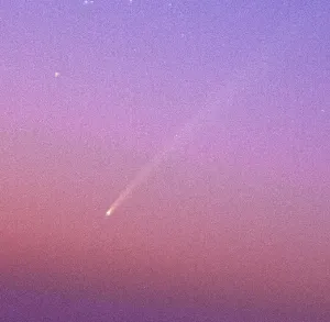 عدسة عمانية